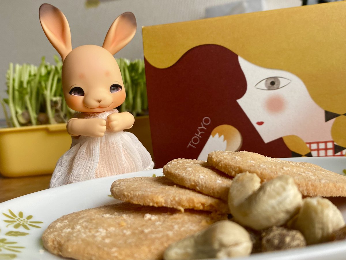 memedollv's tweet photo. 仕事にはストレスが付きもの…
うちの子には癒しが付きもの(*´꒳`*)
一緒にお茶した事を思い出して仕事頑張ろ〜！
#cocoriang https://t.co/vRfKajUhyb
