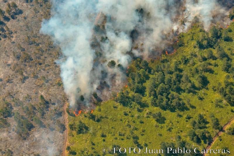 terricolaruben's tweet photo. Cerca de 1200 hectáreas de bosque destruídas, con unas 140 especies endémicas locales de flora y 341 de fauna 💔
Fotos vía Juan Pablo Carreras https://t.co/6pk9FfxrLx