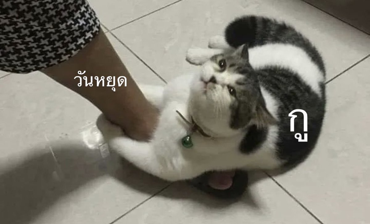 มึง พรุ่งนี้วันจันทร์ :