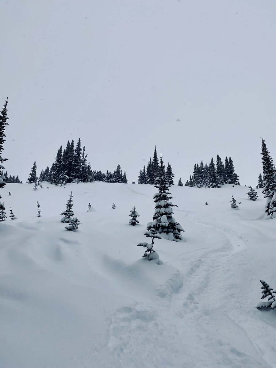 RobMaurer3's tweet photo. No friends on a pow day https://t.co/bqqS5C98ca