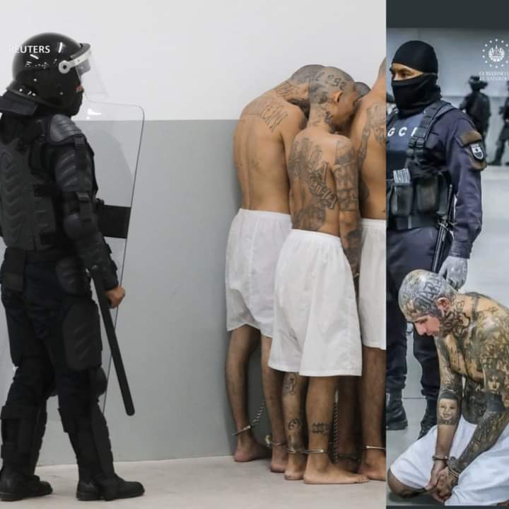 ʜᴀʟᴄᴏ́ɴ ᴀᴢᴜʟ tweet media