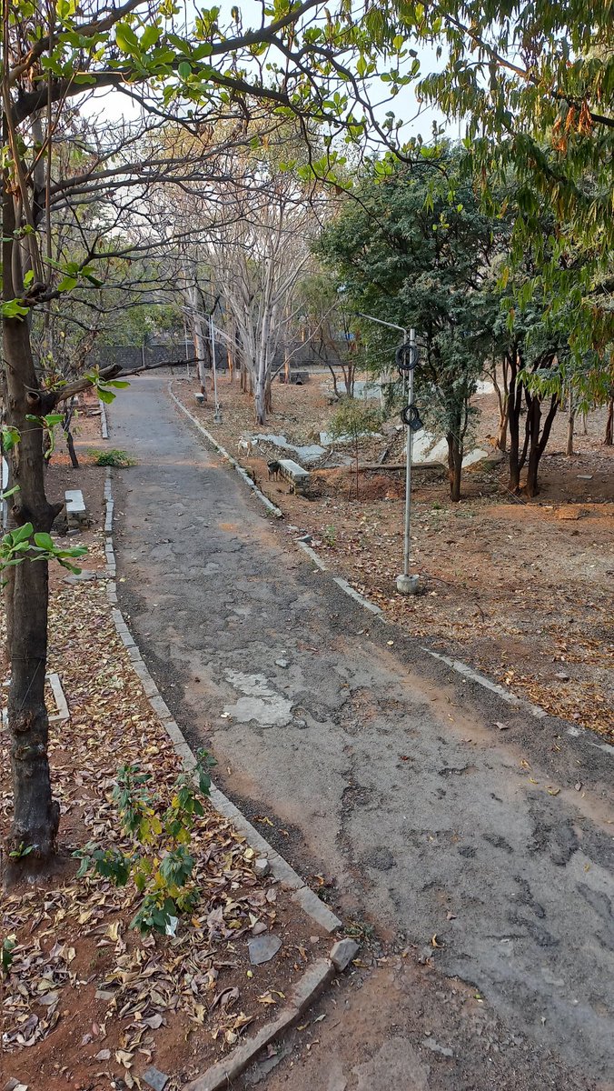 deccanv's tweet photo. Stray Dogs menace at CRIDA RESIDENTIAL QUARTERS &amp; CRIDA OFFICE @ SANTOSHNAGAR,  Hyderabad 500059, a complaint had been raised and registered today under GHMC app, Let us all wish for timely action of GHMC officials. https://t.co/w3NP6CbckS