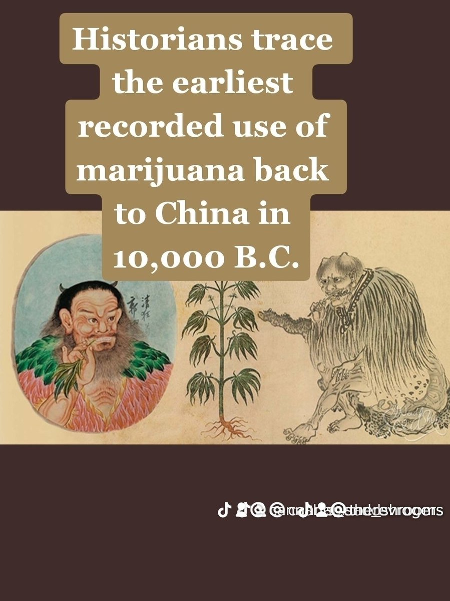TheRevRogers's tweet photo. Cannabis and Shrooms have been helping heal for thousands of years.
Both the people and the planet..
@PaulStamets
@joerogan
@RicFlairNatrBoy
@MikeTyson
@OfficialSting
@JimBelushi
@Montel_Williams
@Narcomania
@NORML
@WillieNelson
@McConaughey
@SnoopDogg
@tommychong https://t.co/l4ZSbXdi2Z