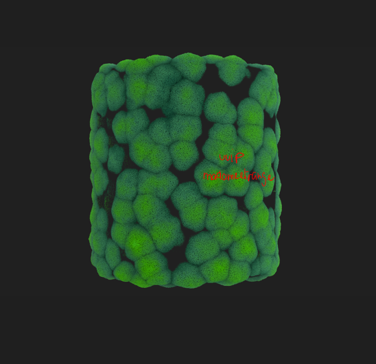 Madame_Etrange's tweet photo. While I still don't have a lot to show for #hopera, I tried to create some moss to add in the environment. It did not go well but oh well!
#screenshotsaturday #gamedev #madewithsubtancedesigner https://t.co/BtRiMOzxmU