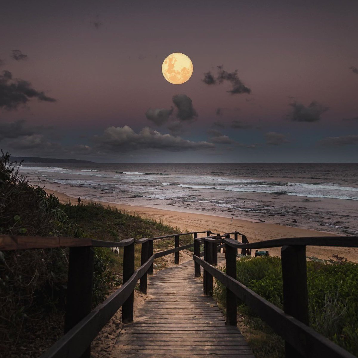 Moon 🌝