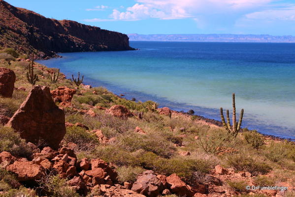 TravelGumbo's tweet photo. #TravelGumbo #FeaturedBlog by #DrFumblefinger    #ttot 

#SeaOfCortez #FollowingFootsteps #JohnSteinbeck

TravelGumbo
By Travelers, for Travelers

https://t.co/yeHRh2pCXS https://t.co/qlhWDG6MJD