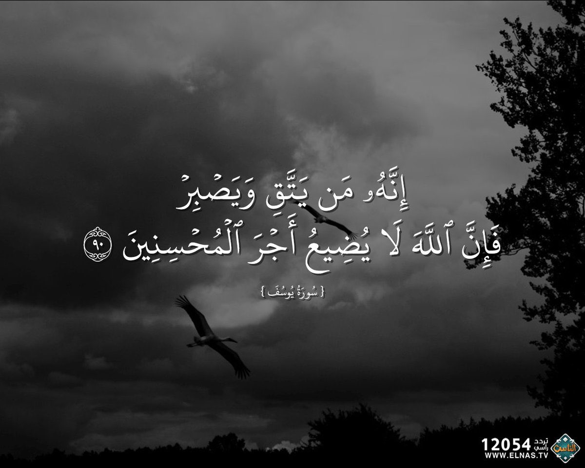 Miss__AlAnsari's tweet image. 