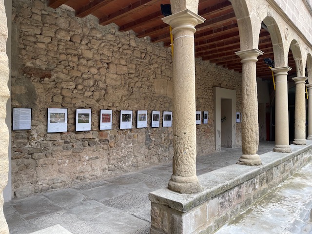 FotoArtReus's tweet photo. Una edició més som presents a @fineartigualada  amb FOTOSPORT 2022.
Un honor ser una de les gairebé 50 exposicions que fins el 19 de març es poden veure a Igualada gràcies a la gran feina que per 11è any fa l' @AFIgualada. 
@CNREUSPLOMS
@ReusCultura https://t.co/bUGVJ3IsNi