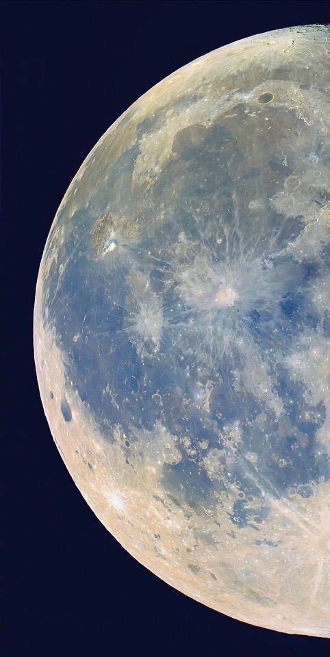 4oclock_moon's tweet photo. I wish I could fill your world full of sky and stars and magic, oh magic, you know, meeting you was a magical miracle for me.
Love you♡
You know that, right?
Today is your day. Smile melior🫂💜
#meliorsday https://t.co/wmBw8czfwm