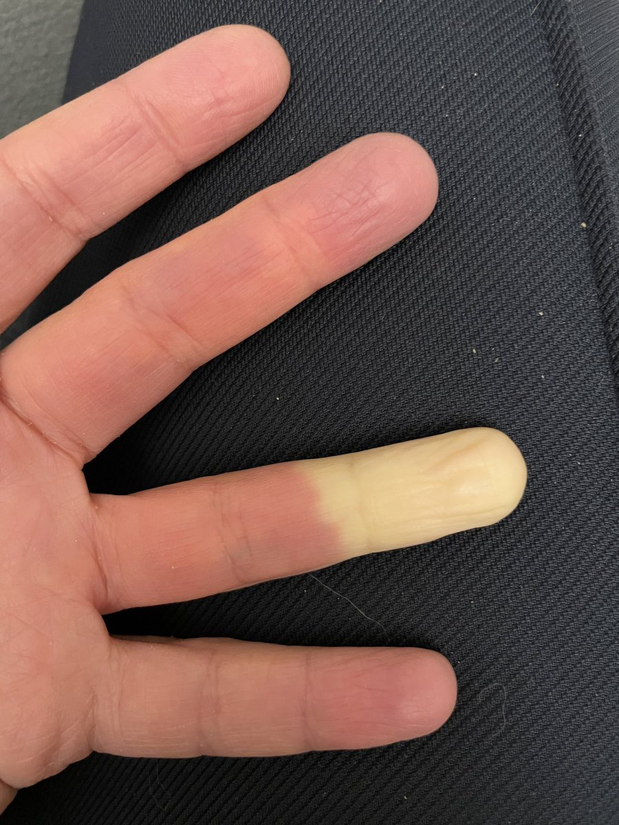 Michaela Trapl-Grundschober tweet media