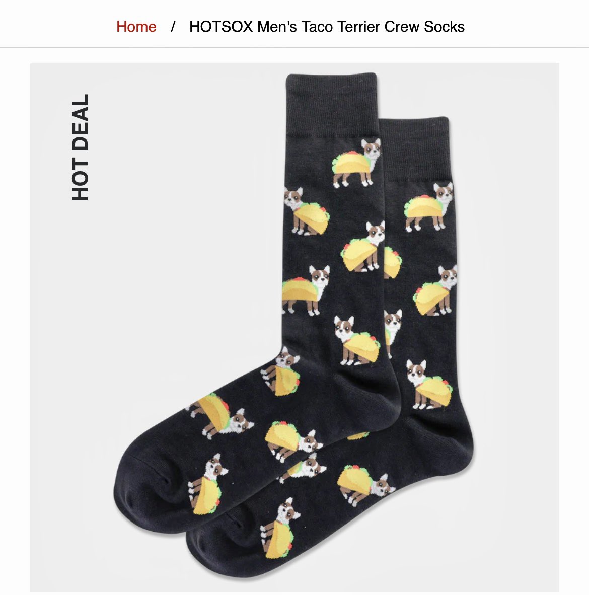 Gabby_Shirley_'s tweet photo. Ross Colton, a man of the people in his “Taco Terrier” socks 

#GoBolts https://t.co/afhbxrf9IU