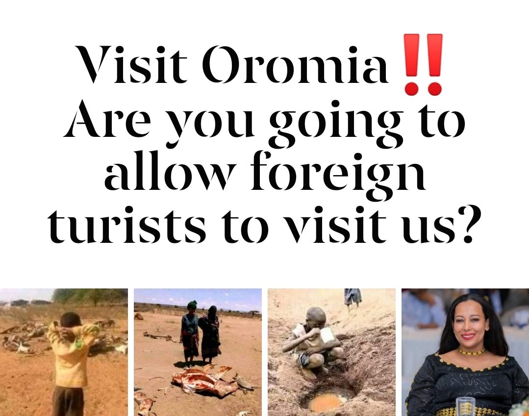 AWoldetensa's tweet photo. I was not crazy then in January, neither now. But put the truth that we are crying for >2 years! How does the @VisitOromia lady feel today?🙄
#FascistAbiy & #NazistShimelisAbdissa must leave Oromia & #Oromian
#SaveOromo #SaveBorona #StopWarInOromia
#SaveOromoLives
@JBaayisaa https://t.co/8uBVFpOlkP