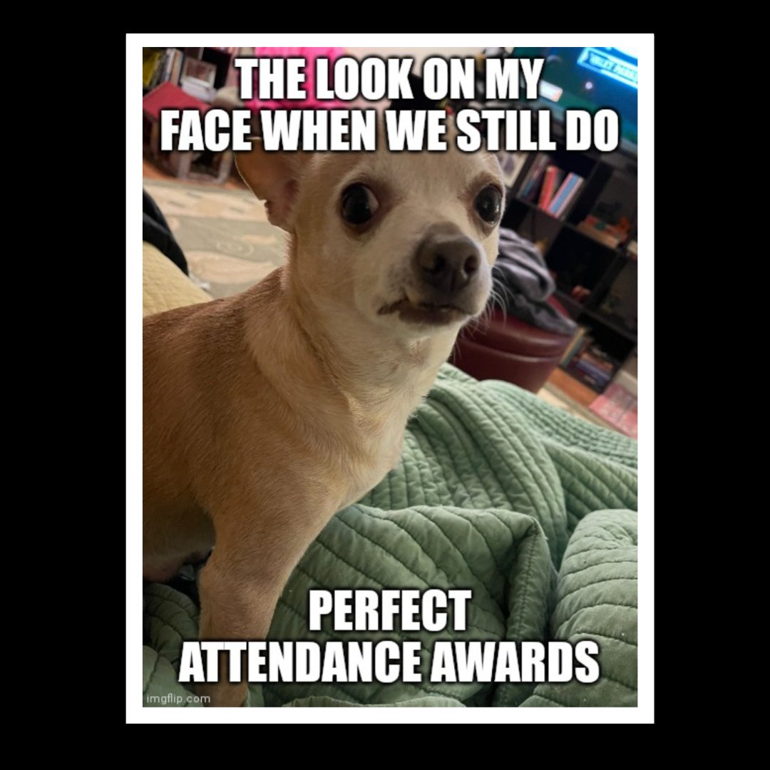 theDRAMAgoat1's tweet image. Why do some schools still do this? It&apos;s so inequitable and teaches the wrong lesson about taking care of your physical and mental health. Thoughts? #FridaysWithFred