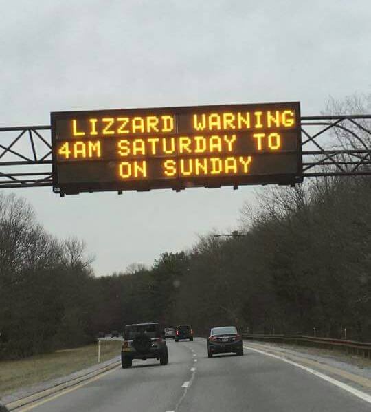 HourlyLizards's tweet photo. https://t.co/nr9eNqCfO4