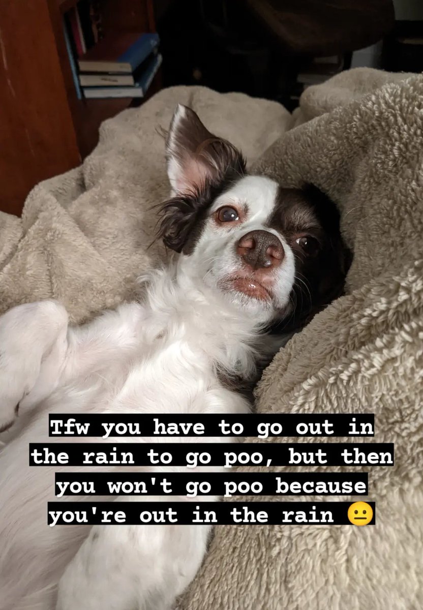 We hate it here ✌️☺️✌️