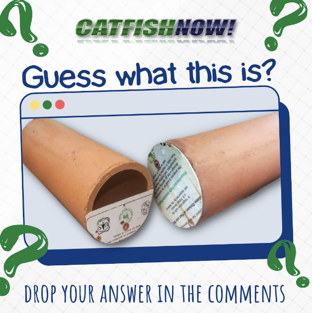 CatfishNOW1's tweet photo. Do you know what this is? The answer is hiding in this monthβs edition of CatfishNOW!
https://t.co/GqdaLX2svz
#CatfishingConservation #CatfishConservation #FishConservation #Conservation https://t.co/VDJCtl1ToF