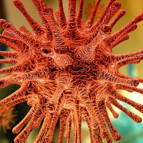RnfinityUK's tweet photo. RNA cancer vaccines a promising tool in the fight against cancer
#RNAvaccine #cancervaccine #provenge #moderna
https://t.co/LopdvPuHPu
https://t.co/jIFIEc9cYB https://t.co/Cz6cqUiqGb