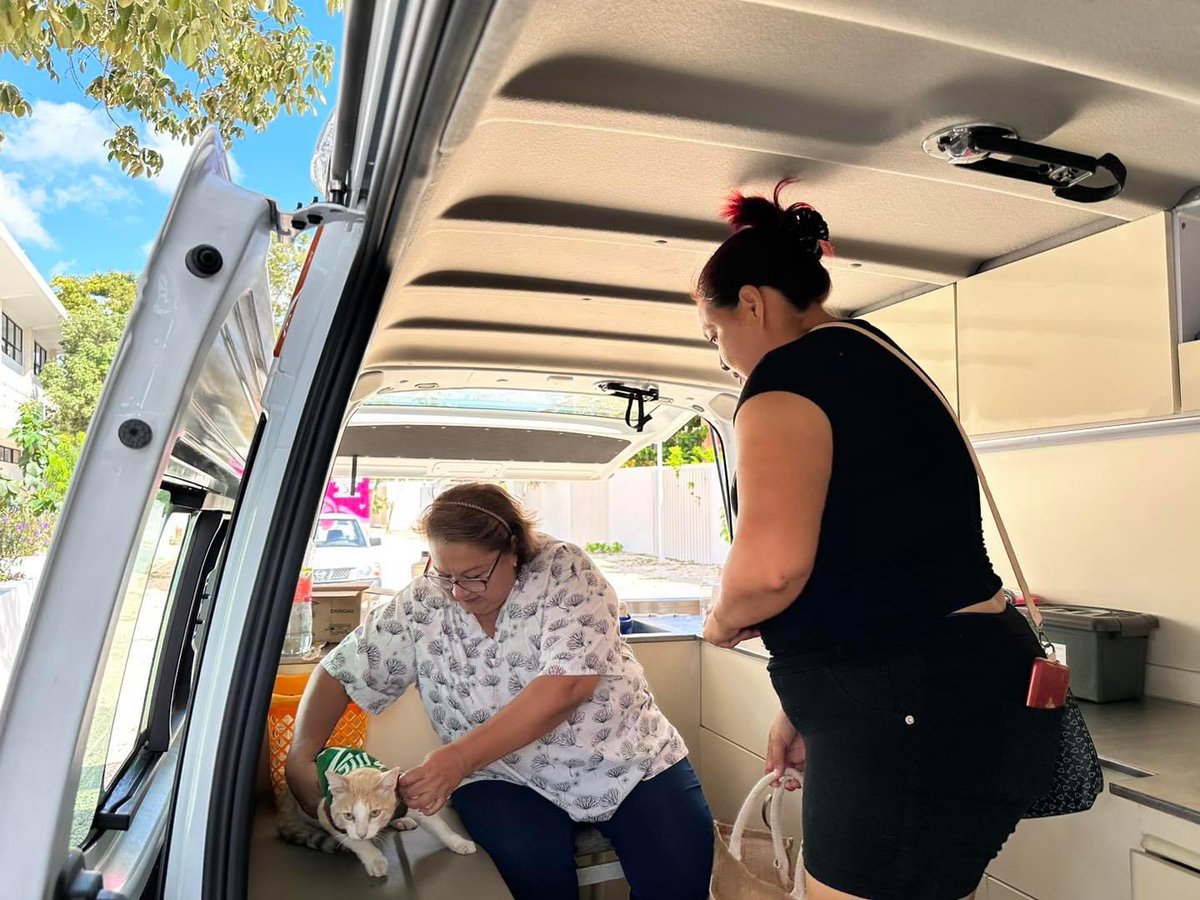 ProteccionBj's tweet photo. Estuvimos dando vacunas antirrábicas y consultas veterinarias totalmente gratuitas en la #SM259 Villas Otoch Paraíso, en la brigada de prosperidad compartida , porque el amor por los animalitos nos une 🐶🐱
@anapatyp
@AytoCancun
@cancunecologia https://t.co/gJGzMeVnVo