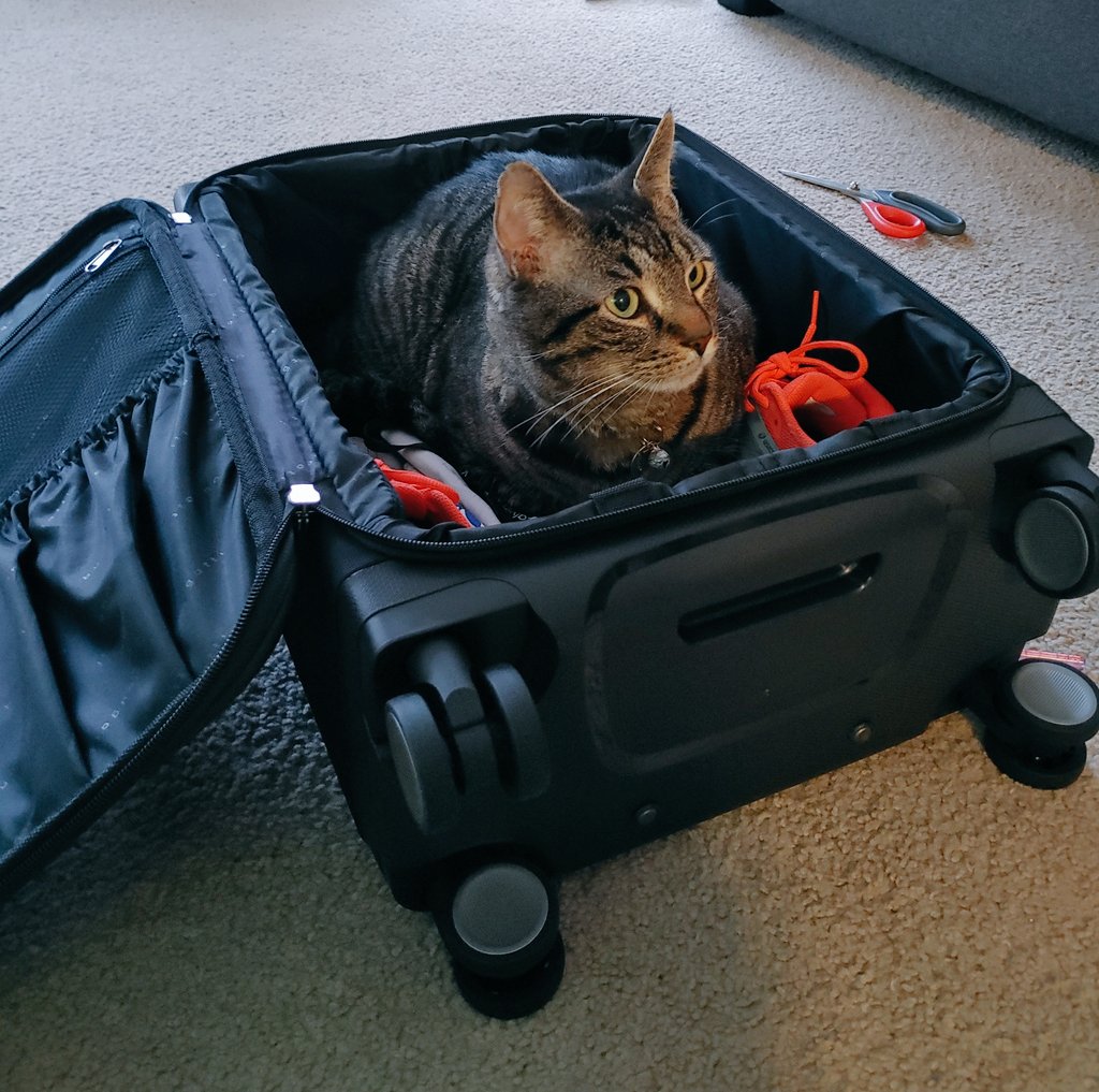 Emily Edwards tweet media