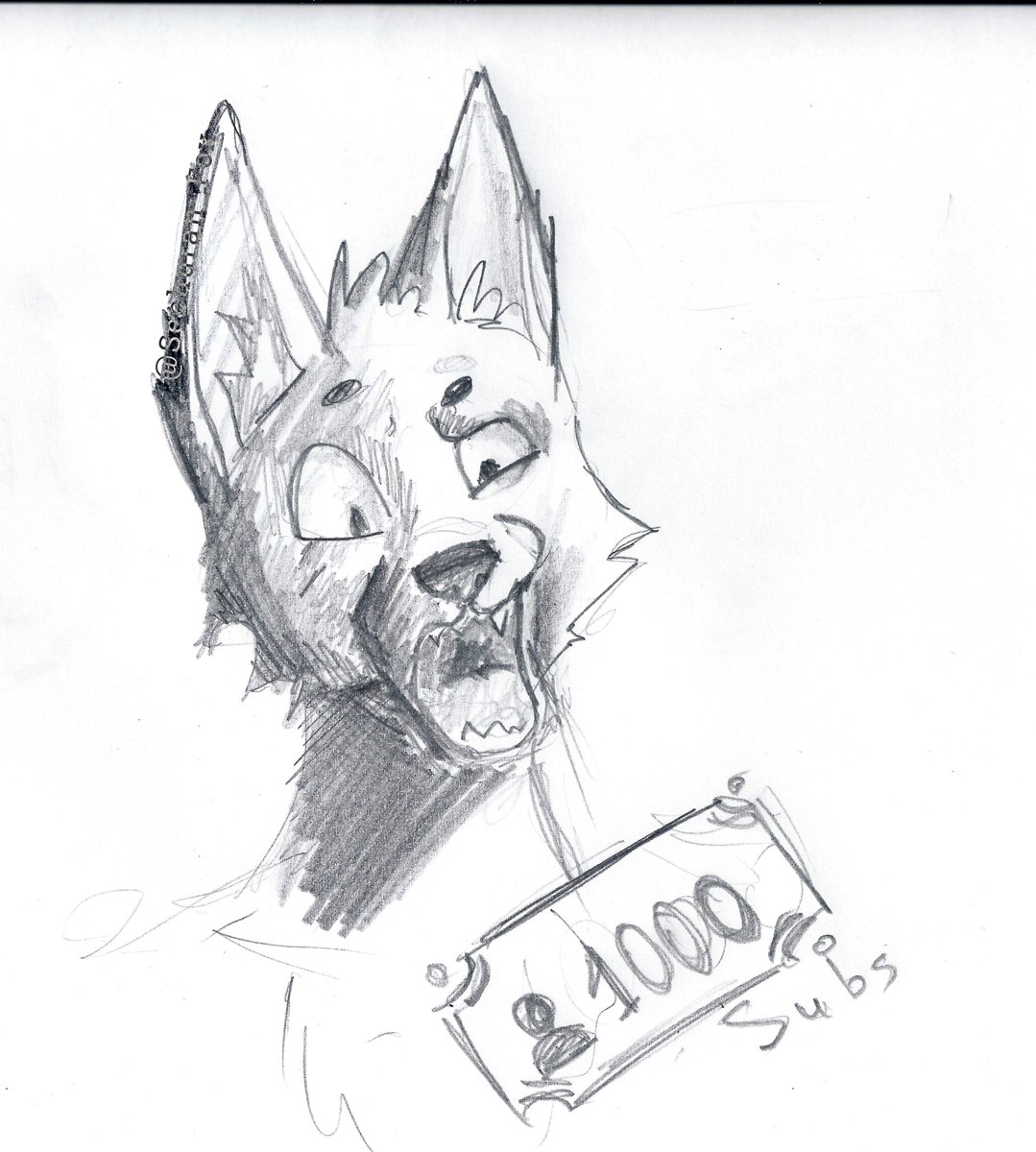 Sechuran_Fox's tweet photo. My first thousand followers on TikTok (https://t.co/MGcjFgURIk). And a little sketch for this case) 
#furry #furryartist #furrysketch #furryart #furryfox #furryfandom #sketchbook #traditionalfurryart https://t.co/NRhdHOBkhQ