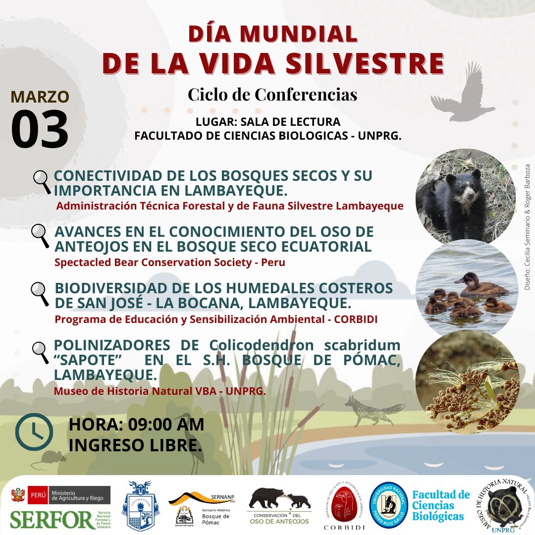 EdAmbiental Corbidi tweet media