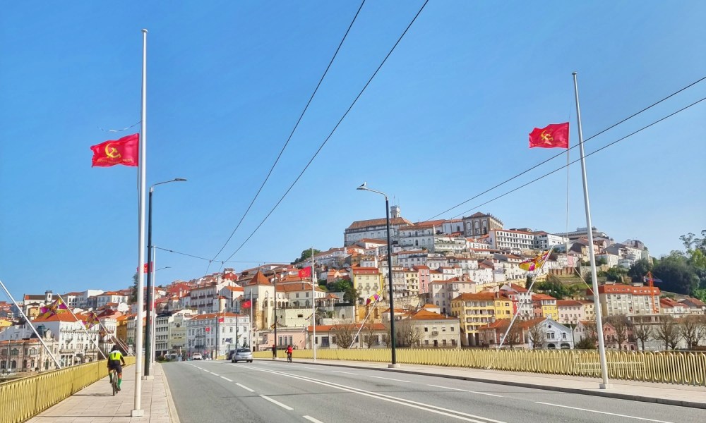 Pedro Pereira tweet media