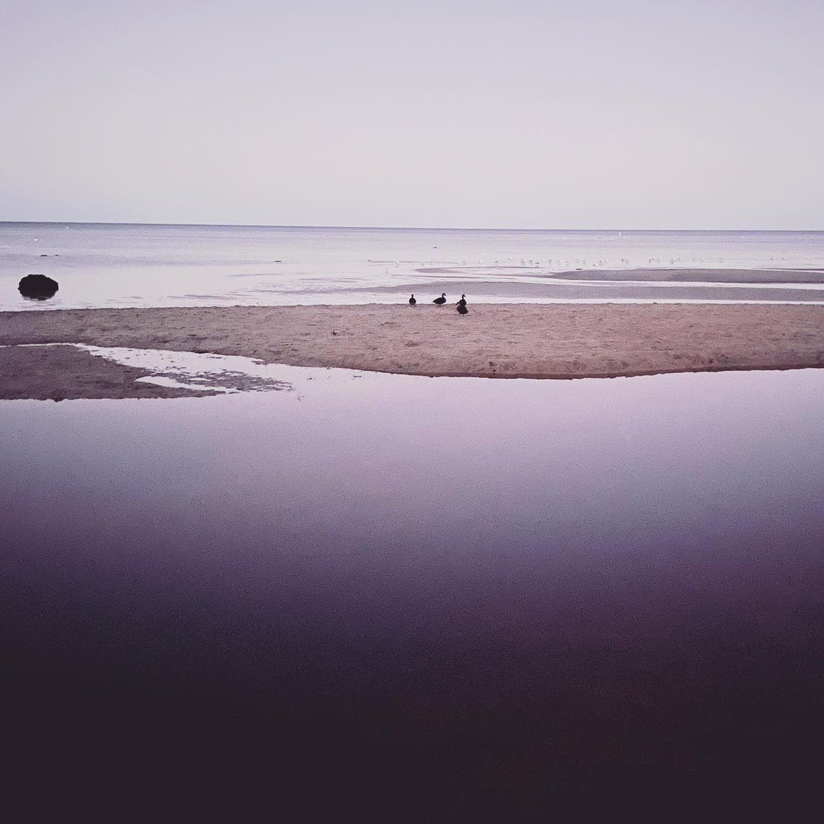 Lee Steele (@leesteele_) on Twitter photo Dunsborough last night.👌
#dunsborough Dunsborough last night.👌
#dunsborough