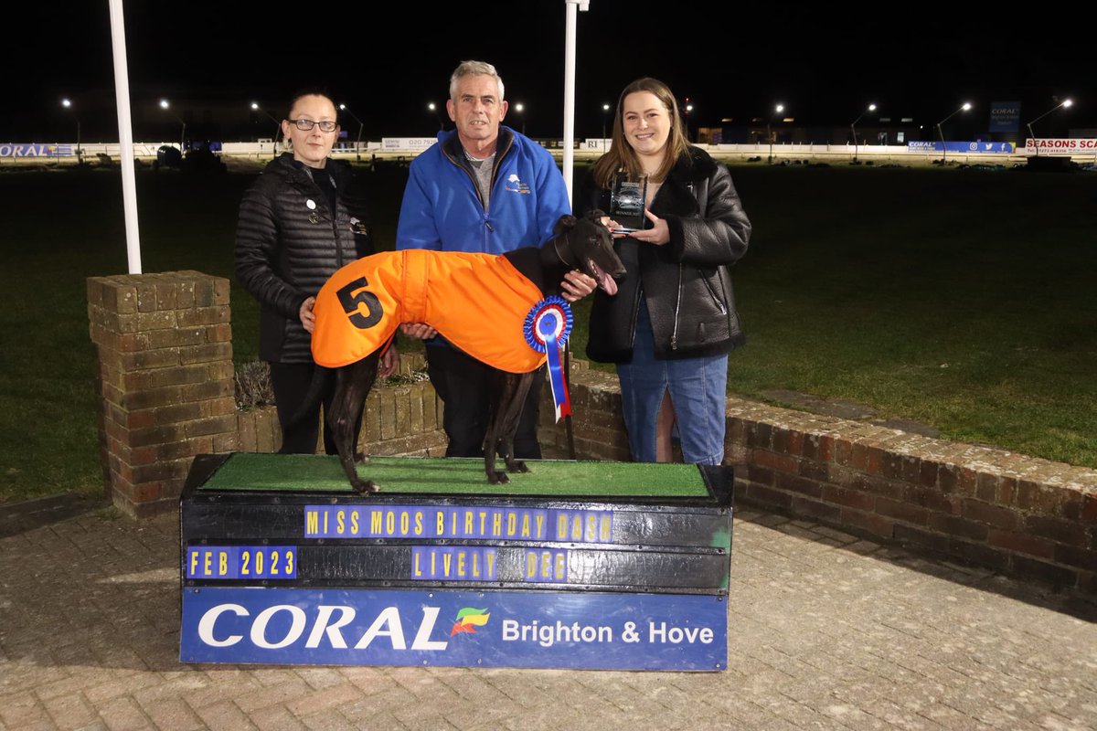 adachikennels's tweet photo. Presentation for Lively Dee this evening (Miss Moo birthday race) 🧡 https://t.co/mZWyKHN0aI