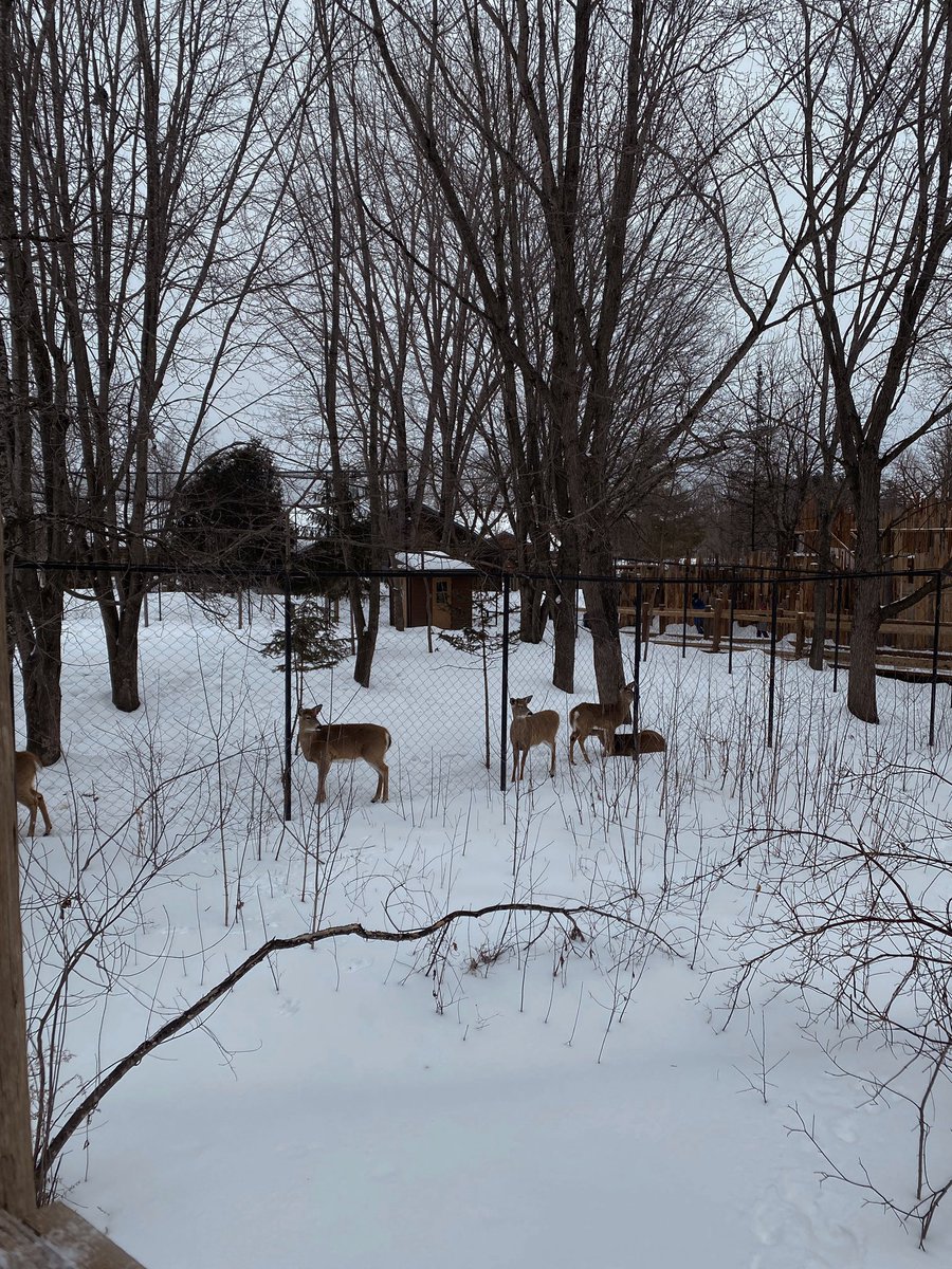 SynBioDulce's tweet photo. Visiting the eco-museum today with some of my friends from the lab! https://t.co/ZZ4lXspwx5