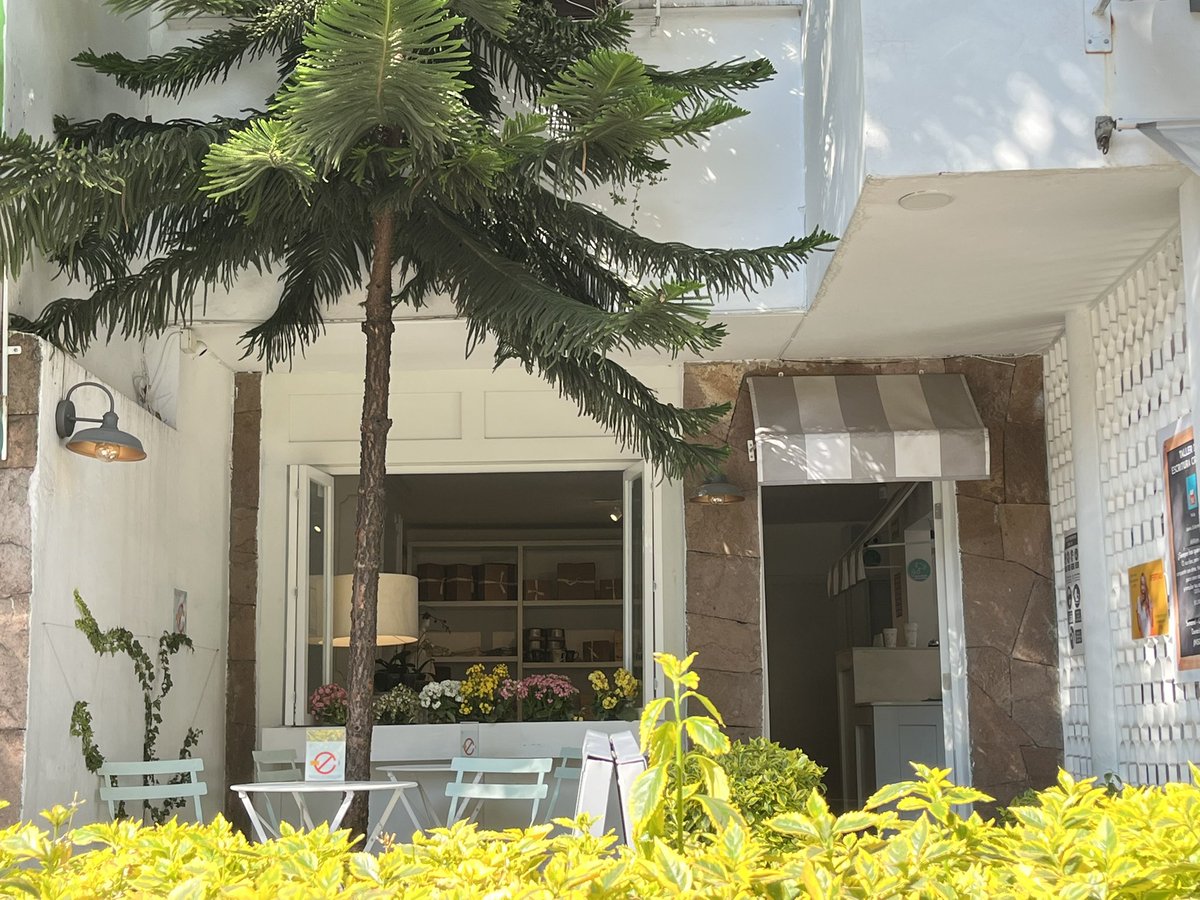 BakeryMexico's tweet photo. 😍☕️🥐TARDES LINDAS ¿qué haces encerrado en tu casa? Vente por un postre o cafecito.
📍Parroquia 306 cerquita de @En_Narvarte #coloniadelvallecdmx #cafeteriasbonitascdmx #petfriendlycdmx #sabado #tarde #cdmx #alcaldiabenitojuarez https://t.co/8iuBbD7Ga6