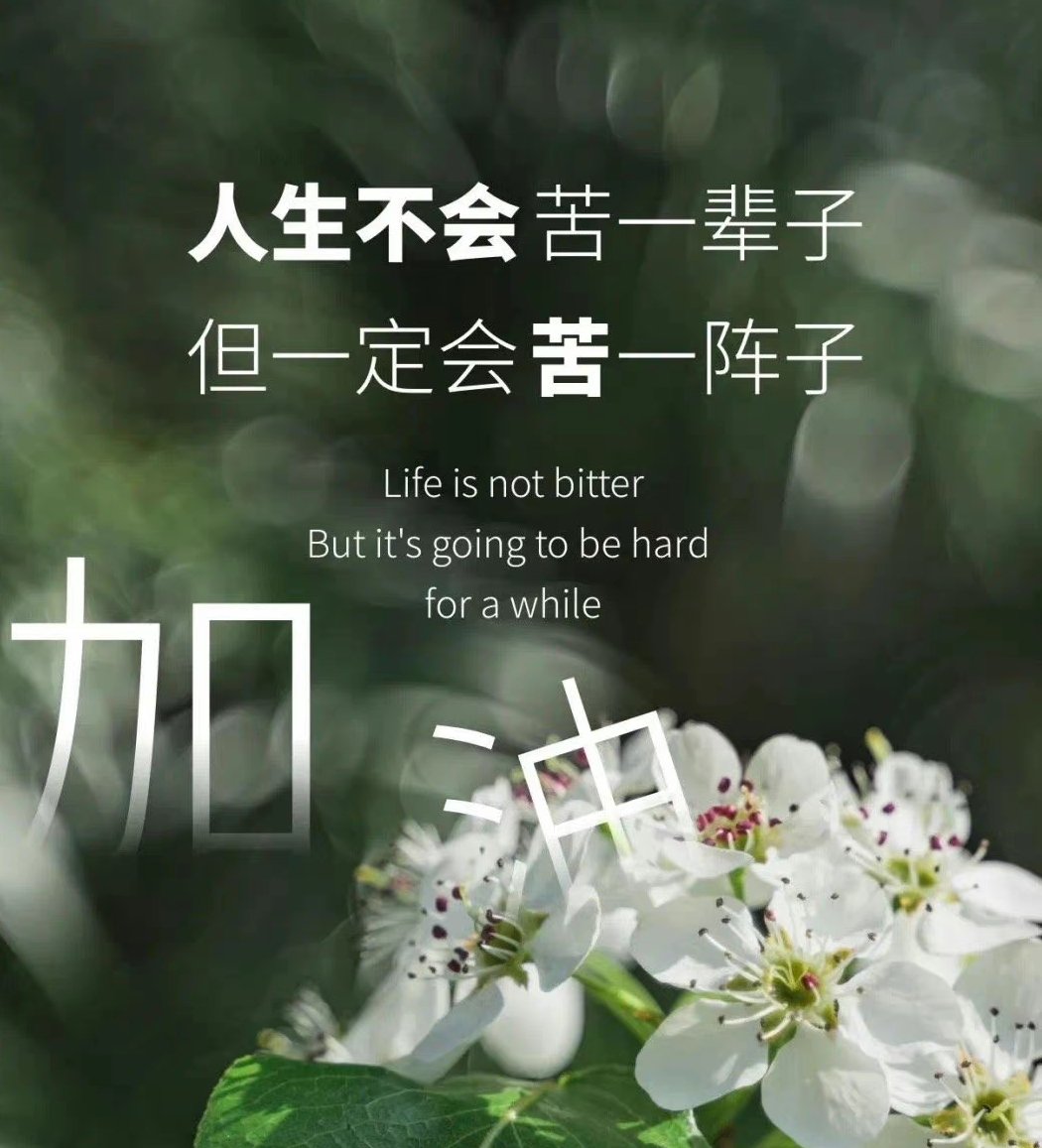 baoyuyuan3's tweet photo. 生命只给你一次机会，人生却给你很多次选择，所以，把命交给了上天，把运握在了自己手里。 ​💪💪💪 https://t.co/i7xhCM111Q