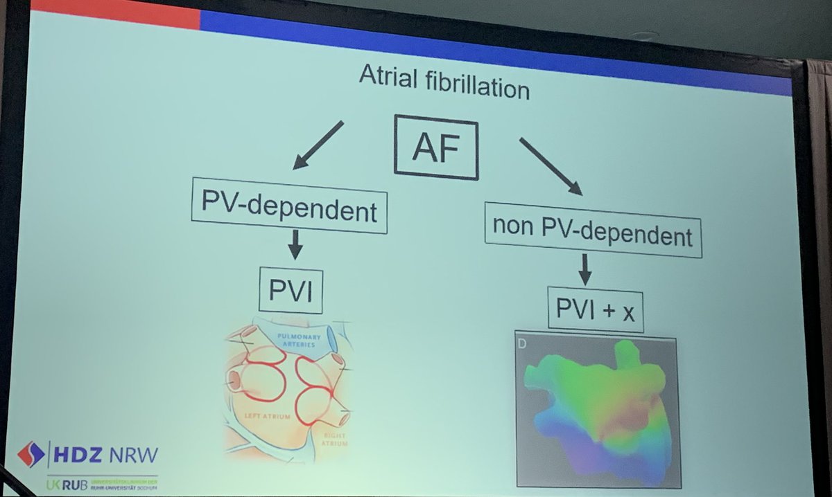 .@Phiso_de We need a new classification for #AFib! There is a disconnect between current classification / phenotype and underlying substrate. ➡️PVI-dependent vs non-PVI dependent may be more accurate and more predictive of success Need mechanistic understanding! #WAFib2023
