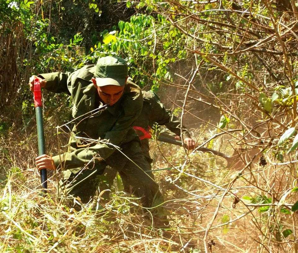Mas de 300 jóvenes soldados de FAR Cuba combate el incendio en Pinares de Mayarí. 
Recibieron hoy el agradecimiento de la viceprimera ministra cubana Inés María Chapman.
#MejorEsPosible