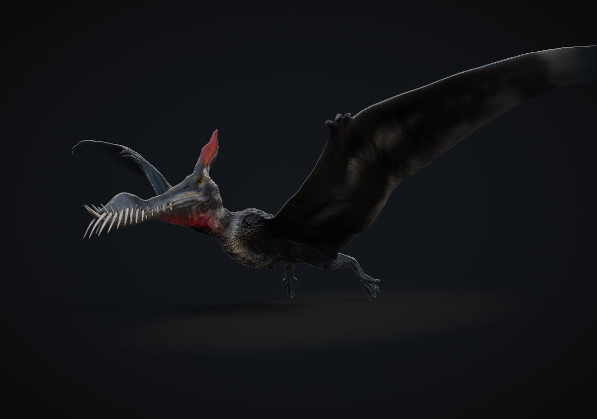 vankev's tweet image. Day 22 caulkicephalus

#FossilFebruary #FossilFebruary2023 #zbrush