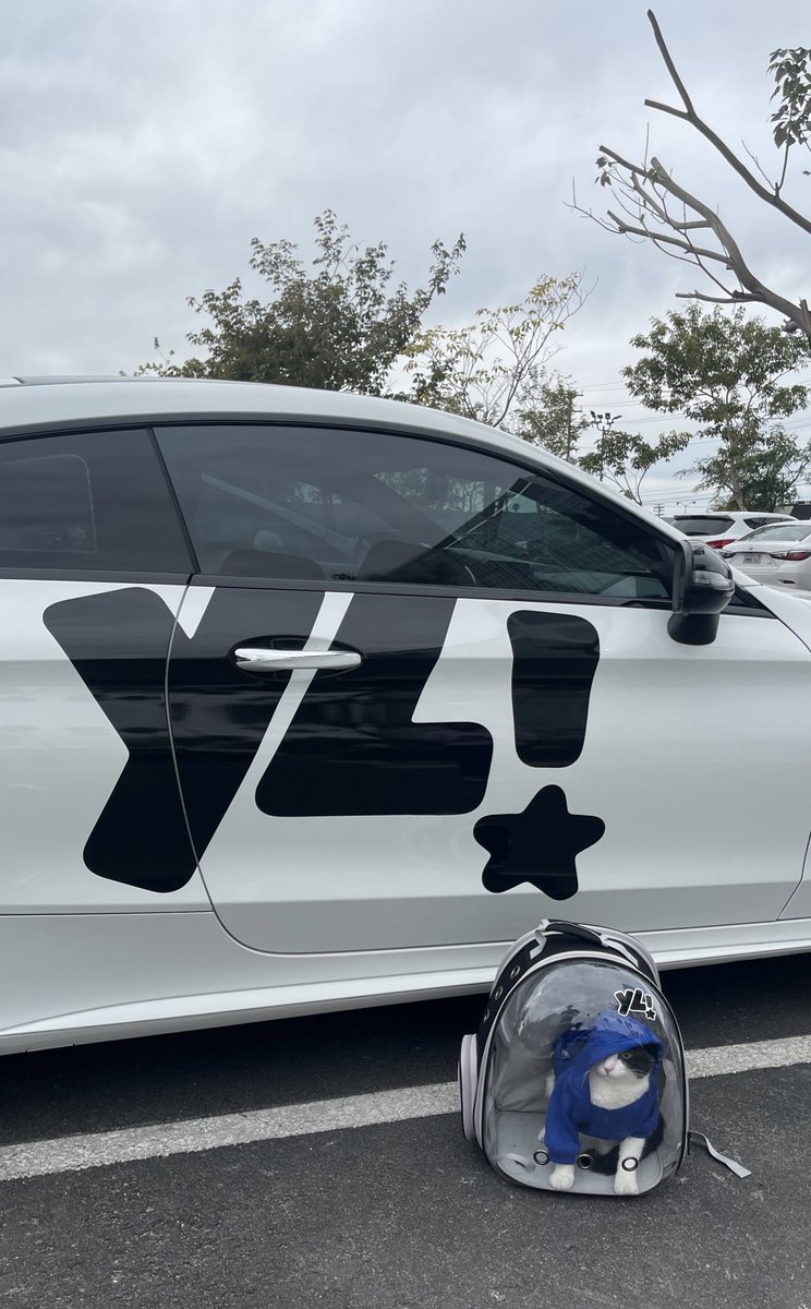 ylylylsk's tweet photo. https://t.co/LyeSX9PiQ4