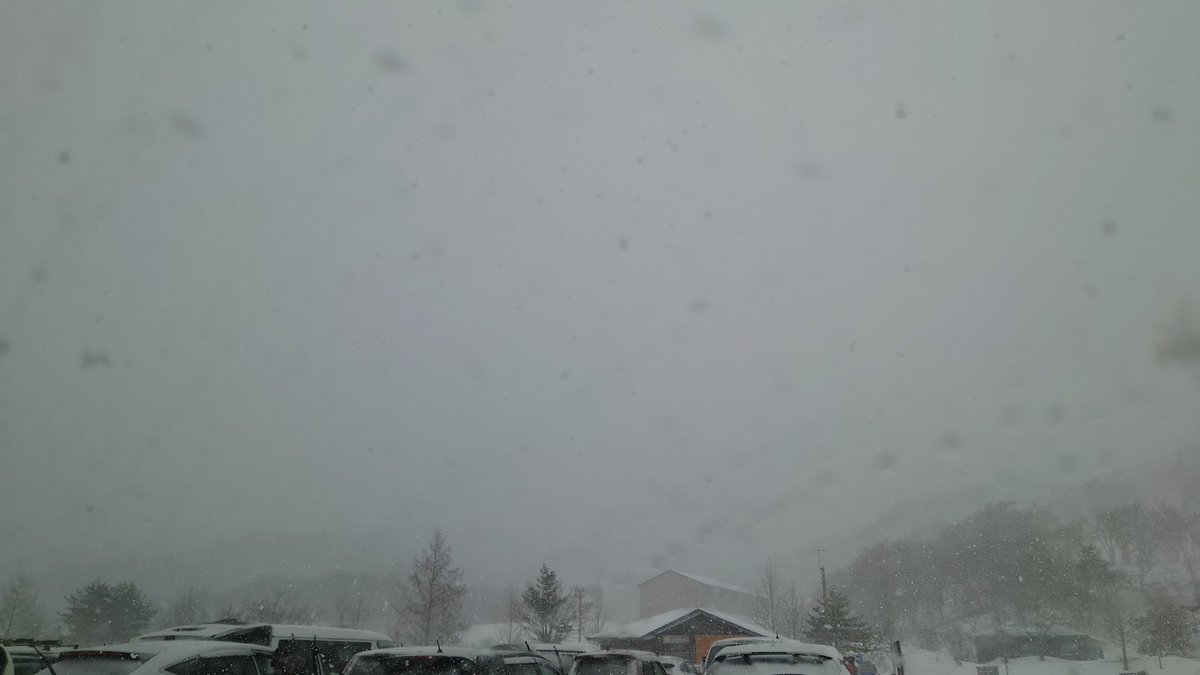 _PlayOutdoors's tweet photo. アルツ磐梯、8時30分、吹雪いてます。 https://t.co/vhFz4PBqcI