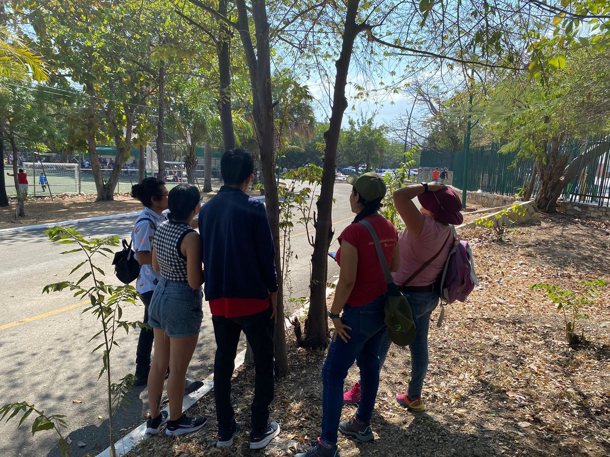TierraVerdeNat1's tweet photo. Desde #TVNC participamos en el conteo ciudadano de árboles en las inmediaciones del parque Joyyo Mayu y Caña Hueva, organizado por @FONCET_AC, con el fin de conocer nuestra riqueza florística y difundir la importancia del arbolado urbano en la ciudad. #MenosPuentesMásCiudad https://t.co/OsXUAX3QAa
