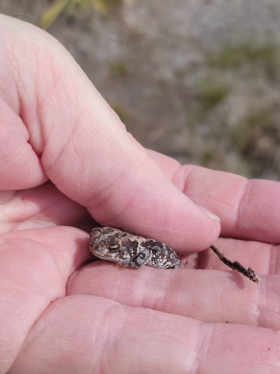 Ken Gioeli tweet media