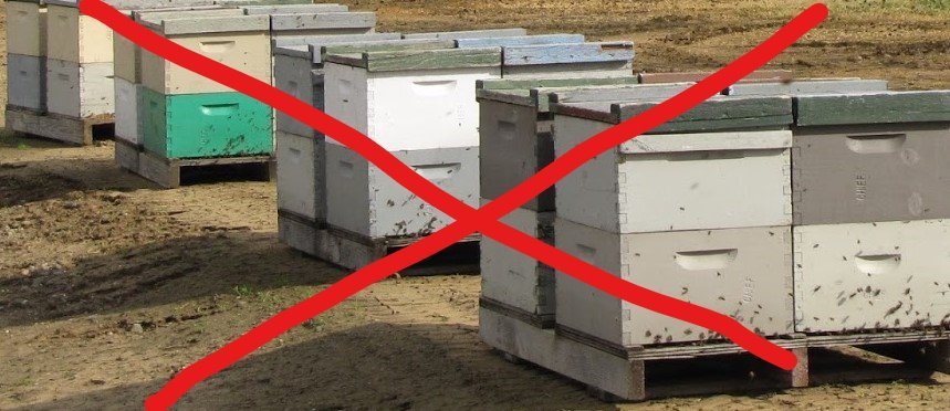 PLANBi3's tweet photo. @UNBiodiversity @Greenpeace And as if that wasn´t enough threats - WILD BEES also have to compete with gazillions of our flying farm animals - honey bees 😳
An UN keeps promoting honey bees. STOP IT NOW!
Make World Bee Day a day for those bees, that are actually threatend by extinction!
#letsbeebetter https://t.co/iOzYpiWjr9