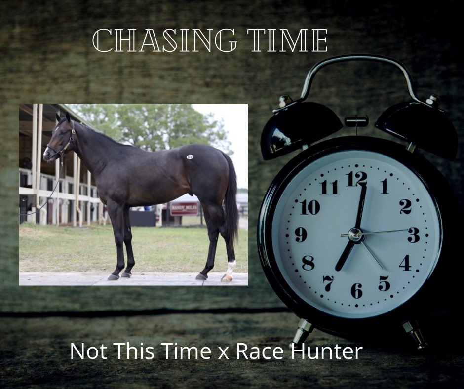 ChrisWallbruch's tweet photo. Congratulations to my fellow @MyRacehorse owners on Chasing Time’s win at @OaklawnRacing! https://t.co/wim7bue7ve