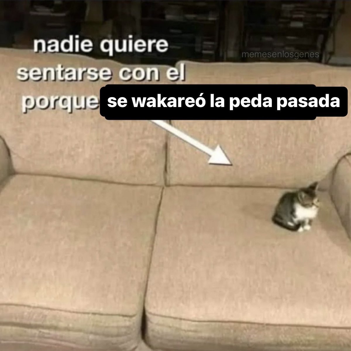 memesenlosgenes's tweet photo. https://t.co/4K9hQHAlru