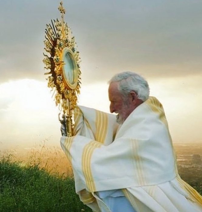Cristián Israel 🇻🇦ن tweet media