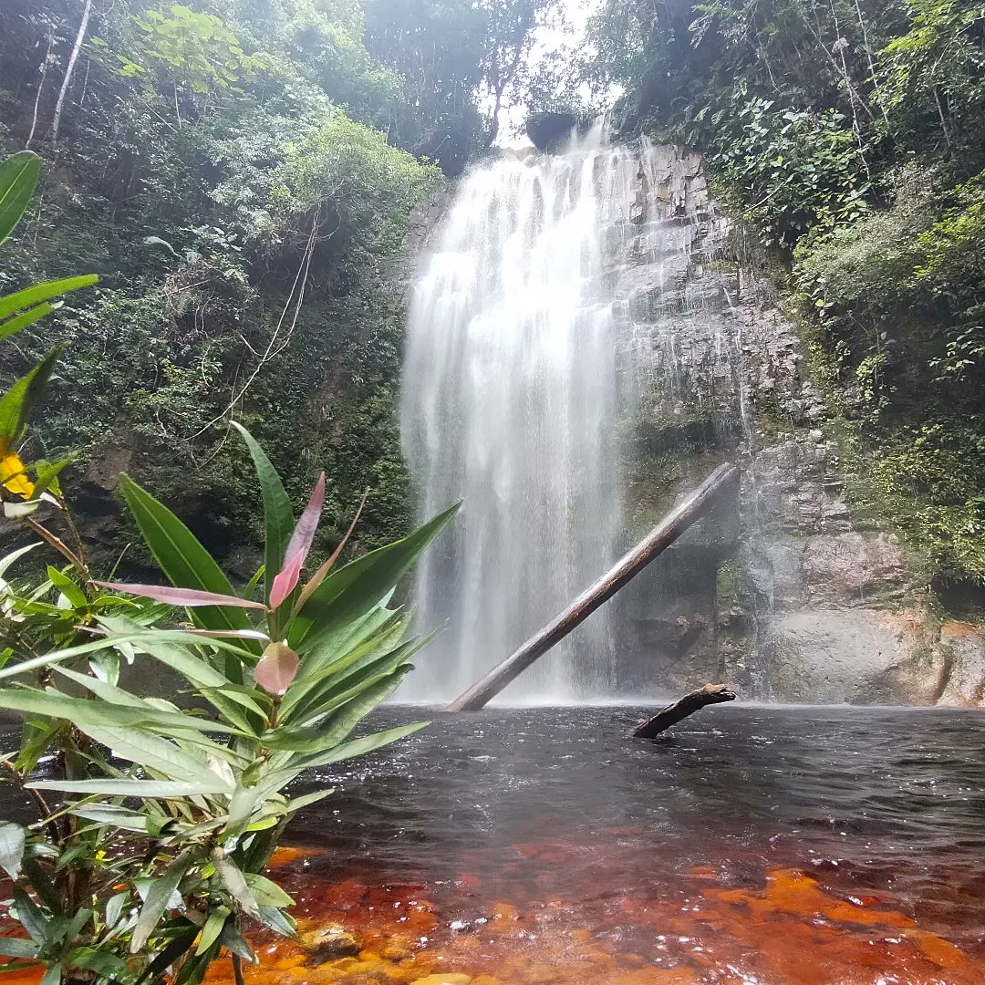 JrMathewKK's tweet photo. 💌:
Climb the mountains and get their good tidings.. Nature's peace will flow into you as sunshine flow the tree.. 🦋

Gunung Ngeli &amp; Wong Panchur, Simunjan - CHECKED ! #gunungngeli #wongpanchur #simunjan #sarawak #nature #naturephotograhpy #hiking #hikingadventures https://t.co/rV5bJkCjDu