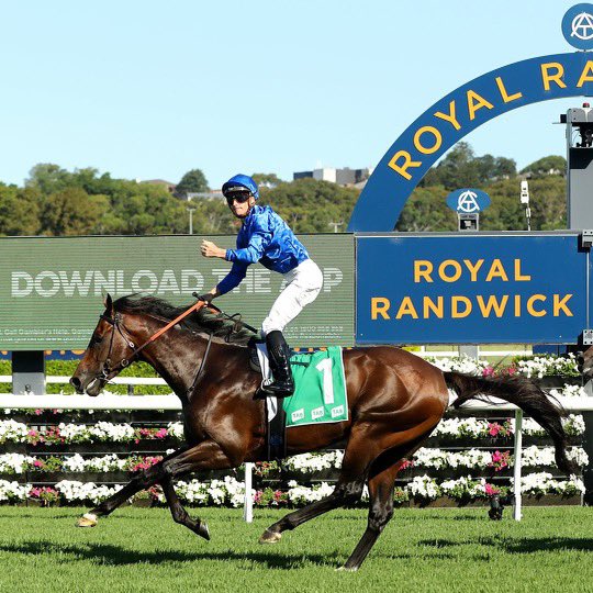 James McDonald continues his Group One winning ways onboard Anamoe #jamesmcdonald