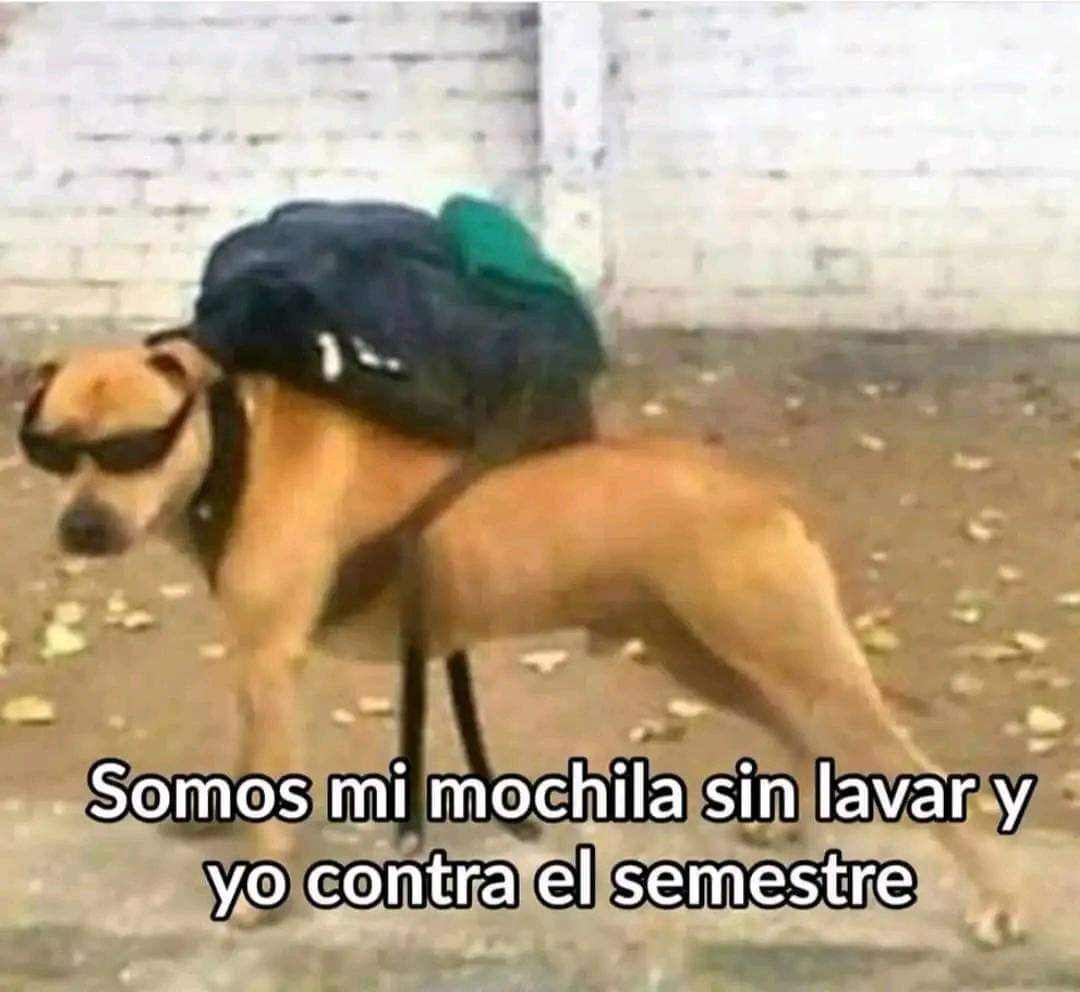 memefeos's tweet photo. https://t.co/fXqnRiokmQ