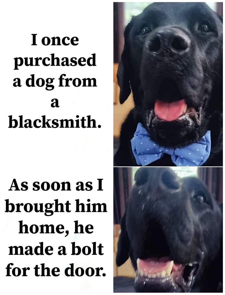 WholesomeMeme's tweet photo. https://t.co/Dd7ED3jPFk