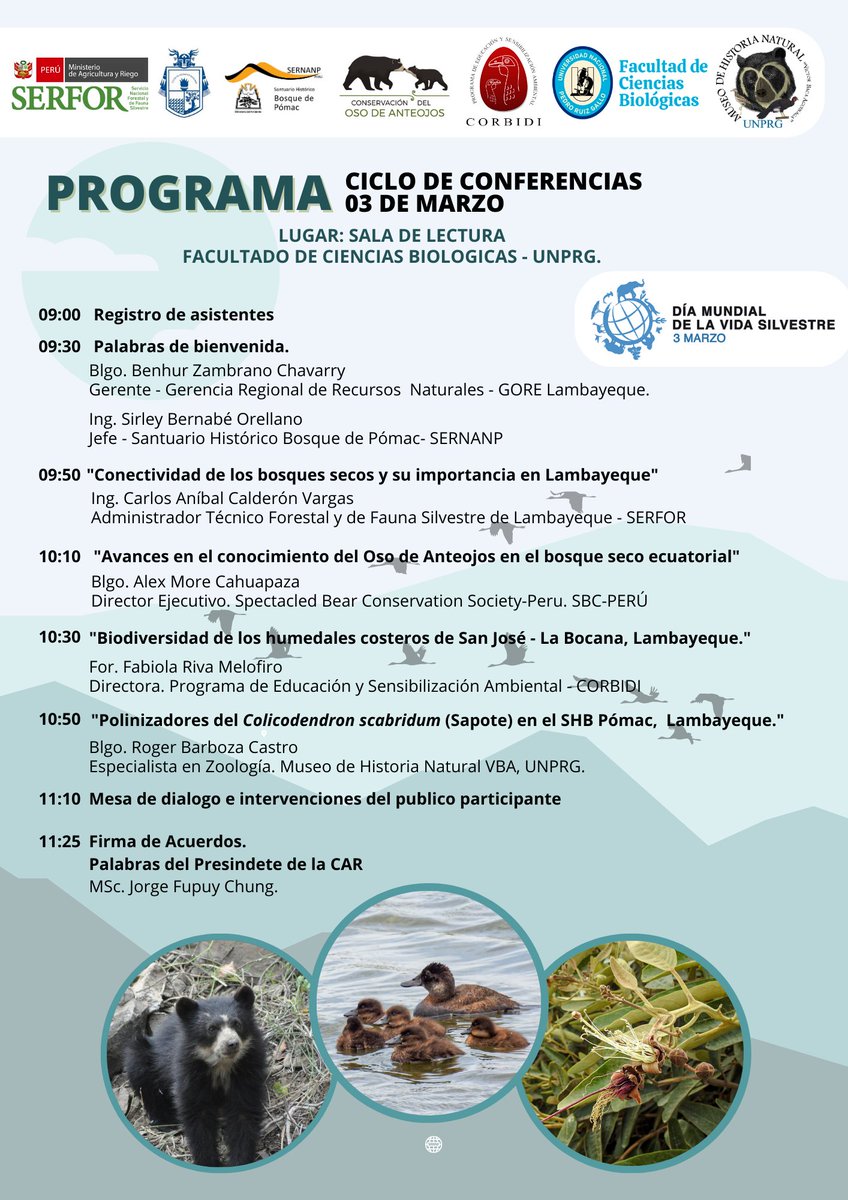 EdAmbiental Corbidi tweet media