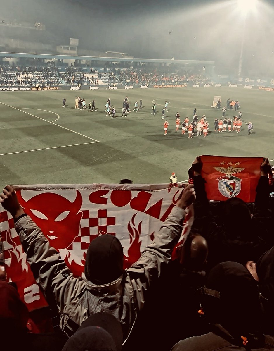 QUE SEJAS CAMPEÃO, BENFICA! 👊🏼