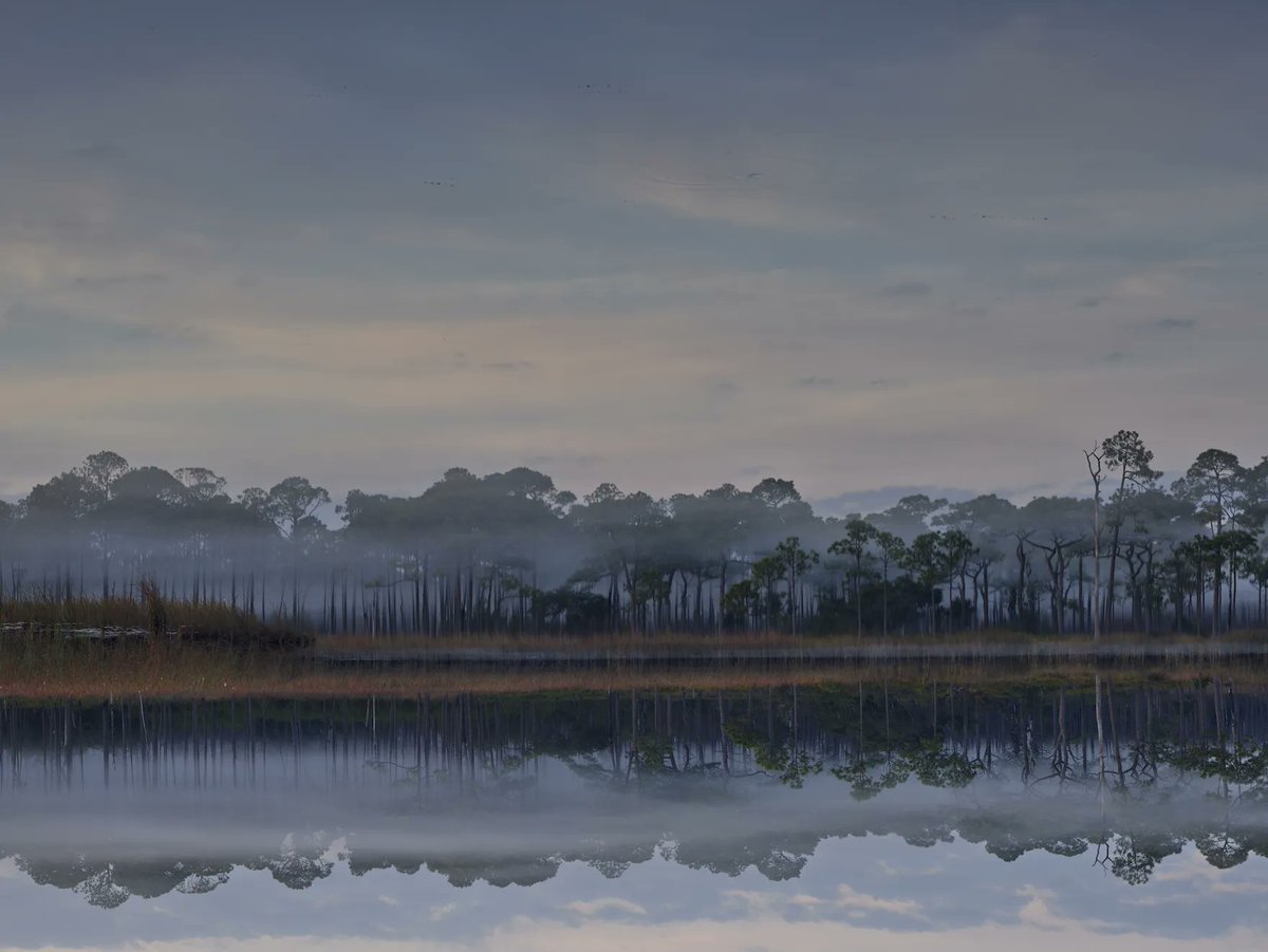 Another shot from yesterday morning at Western Lake