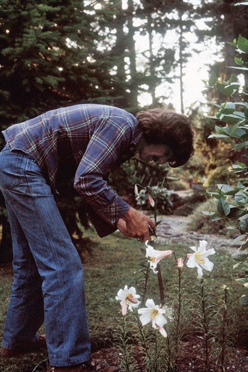 CRAZY4HARRISON's tweet photo. i know i’m very ia on beatlestwt nowadays, but i’m coming back on here to say happy birthday to my favorite boy!! happy birthday george, i love you forever 🕉️💟 https://t.co/nljCS7KlKh